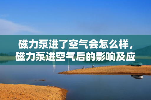 磁力泵进了空气会怎么样，磁力泵进空气后的影响及应对措施