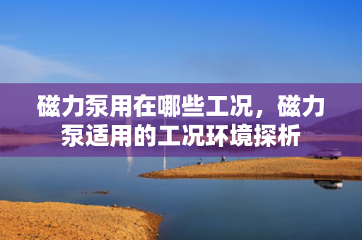 磁力泵用在哪些工况，磁力泵适用的工况环境探析