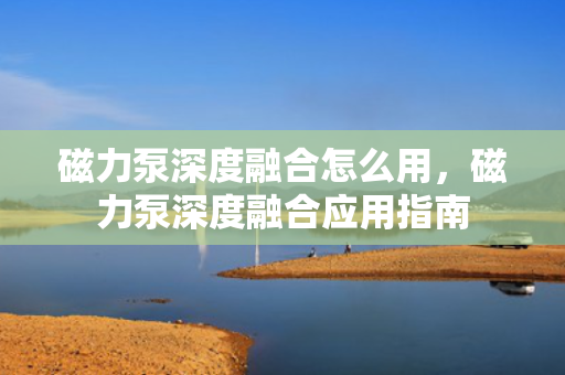 磁力泵深度融合怎么用，磁力泵深度融合应用指南
