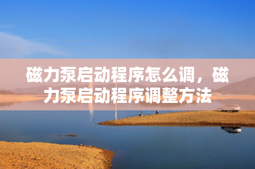 磁力泵启动程序怎么调，磁力泵启动程序调整方法