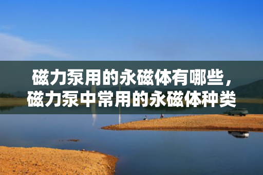 磁力泵用的永磁体有哪些，磁力泵中常用的永磁体种类介绍