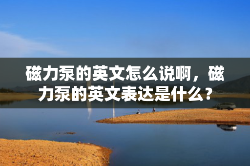磁力泵的英文怎么说啊，磁力泵的英文表达是什么？