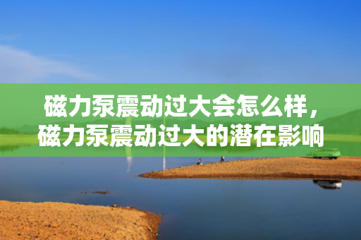 磁力泵震动过大会怎么样，磁力泵震动过大的潜在影响及后果