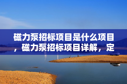 磁力泵招标项目是什么项目，磁力泵招标项目详解，定义、流程及关键要点