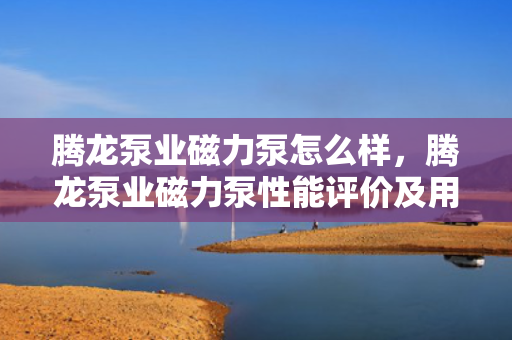 腾龙泵业磁力泵怎么样，腾龙泵业磁力泵性能评价及用户反馈