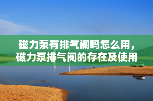磁力泵有排气阀吗怎么用，磁力泵排气阀的存在及使用方法解析