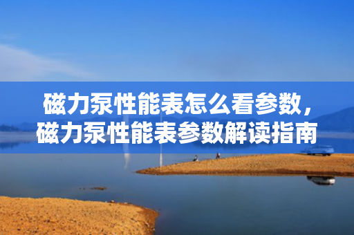 磁力泵性能表怎么看参数，磁力泵性能表参数解读指南