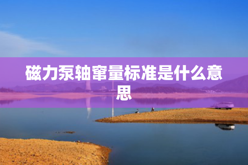 磁力泵轴窜量标准是什么意思