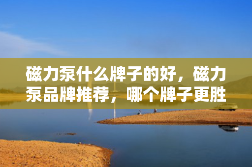 磁力泵什么牌子的好，磁力泵品牌推荐，哪个牌子更胜一筹？