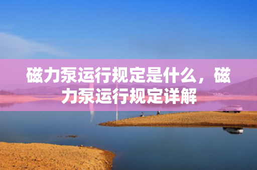 磁力泵运行规定是什么，磁力泵运行规定详解