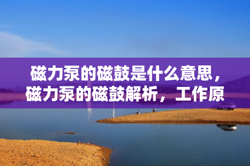 磁力泵的磁鼓是什么意思，磁力泵的磁鼓解析，工作原理与关键作用