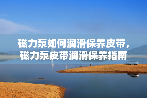 磁力泵如何润滑保养皮带，磁力泵皮带润滑保养指南