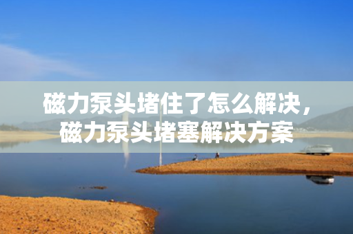 磁力泵头堵住了怎么解决，磁力泵头堵塞解决方案