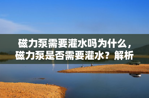 磁力泵需要灌水吗为什么，磁力泵是否需要灌水？解析磁力泵的工作原理及操作要求