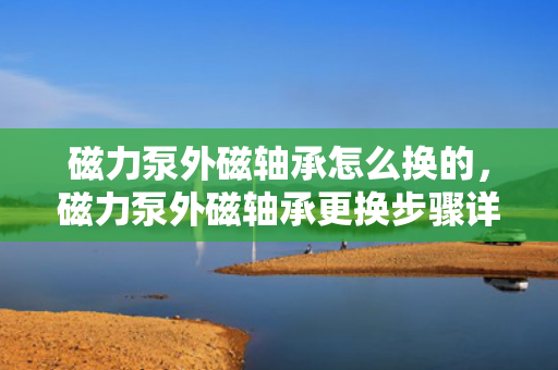 磁力泵外磁轴承怎么换的，磁力泵外磁轴承更换步骤详解