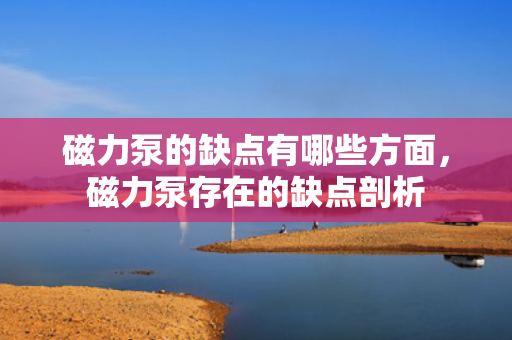 磁力泵的缺点有哪些方面，磁力泵存在的缺点剖析