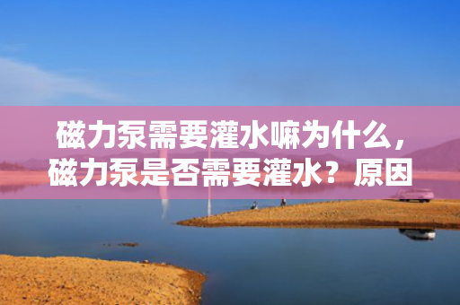 磁力泵需要灌水嘛为什么，磁力泵是否需要灌水？原因解析