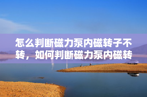 怎么判断磁力泵内磁转子不转，如何判断磁力泵内磁转子是否停止转动