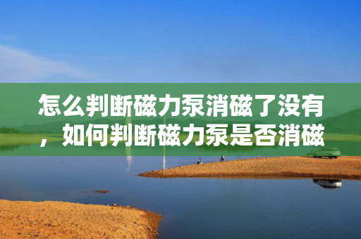 怎么判断磁力泵消磁了没有，如何判断磁力泵是否消磁的方法指南