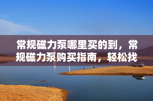 常规磁力泵哪里买的到，常规磁力泵购买指南，轻松找到购买渠道