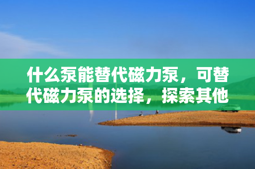 什么泵能替代磁力泵，可替代磁力泵的选择，探索其他类型的泵以满足您的需求