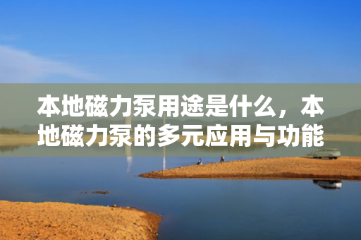本地磁力泵用途是什么，本地磁力泵的多元应用与功能解析