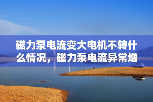 磁力泵电流变大电机不转什么情况，磁力泵电流异常增大而电机停转的可能原因解析