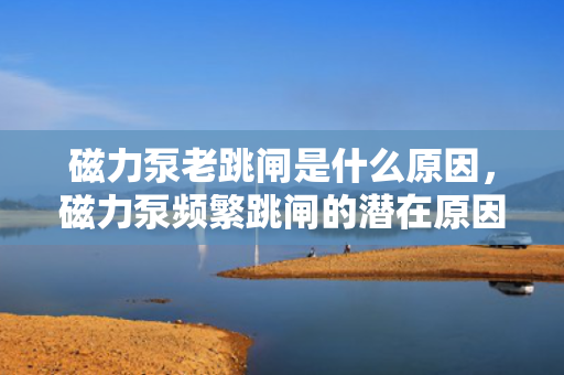 磁力泵老跳闸是什么原因，磁力泵频繁跳闸的潜在原因分析