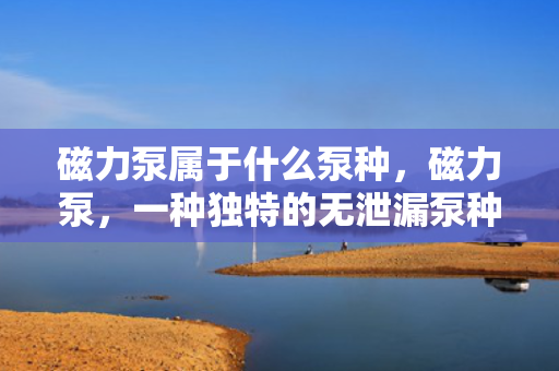 磁力泵属于什么泵种，磁力泵，一种独特的***泵种