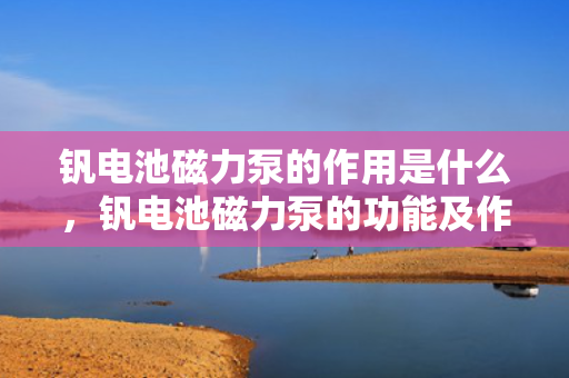 钒电池磁力泵的作用是什么，钒电池磁力泵的功能及作用解析