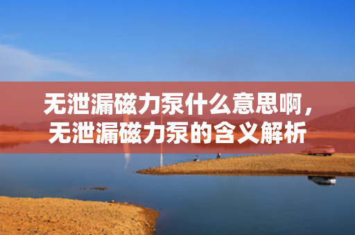 ***磁力泵什么意思啊，***磁力泵的含义解析