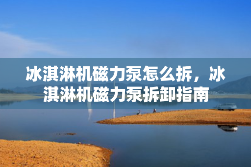 冰淇淋机磁力泵怎么拆，冰淇淋机磁力泵拆卸指南