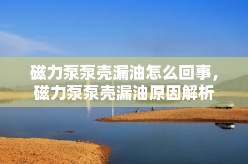 磁力泵泵壳漏油怎么回事，磁力泵泵壳漏油原因解析