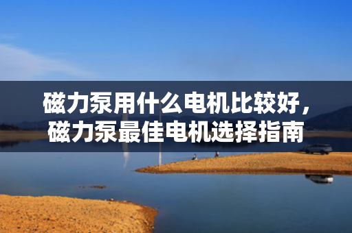 磁力泵用什么电机比较好，磁力泵***佳电机选择指南