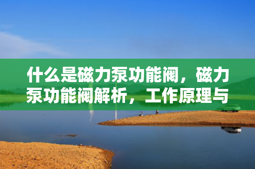 什么是磁力泵功能阀，磁力泵功能阀解析，工作原理与应用概述