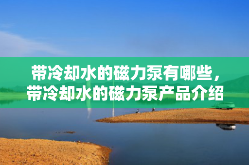 带冷却水的磁力泵有哪些，带冷却水的磁力泵产品介绍