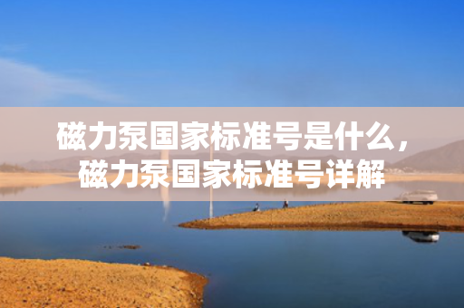 磁力泵***标准号是什么，磁力泵***标准号详解