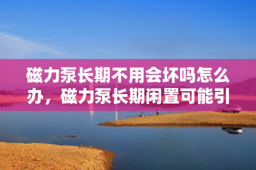 磁力泵长期不用会坏吗怎么办，磁力泵长期闲置可能引发的问题及应对措施