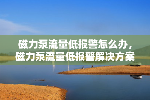 磁力泵流量低报警怎么办，磁力泵流量低报警解决方案