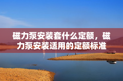 磁力泵安装套什么定额，磁力泵安装适用的定额标准