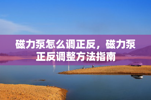 磁力泵怎么调正反，磁力泵正反调整方法指南
