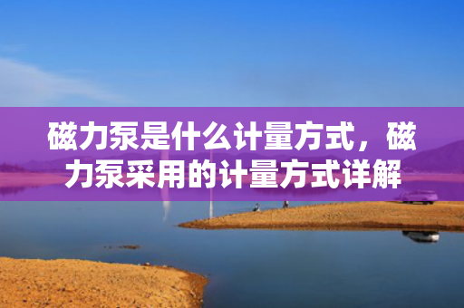 磁力泵是什么计量方式，磁力泵采用的计量方式详解
