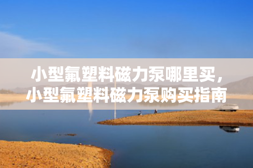 小型氟塑料磁力泵哪里买，小型氟塑料磁力泵购买指南，找到***优质的购买渠道