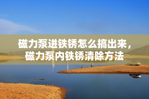 磁力泵进铁锈怎么搞出来，磁力泵内铁锈清除方法