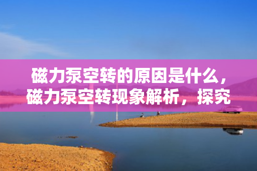 磁力泵空转的原因是什么，磁力泵空转现象解析，探究其原因及预防措施
