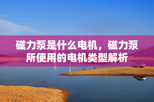 磁力泵是什么电机，磁力泵所使用的电机类型解析