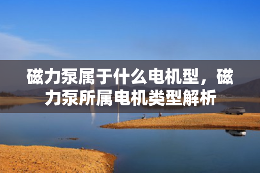 磁力泵属于什么电机型，磁力泵所属电机类型解析