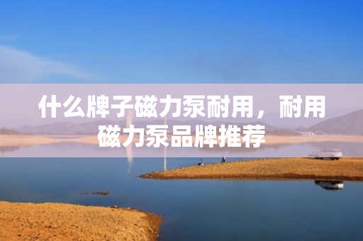 什么牌子磁力泵耐用，耐用磁力泵品牌推荐