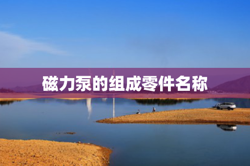 磁力泵的组成零件名称 磁力泵的组成零件名称