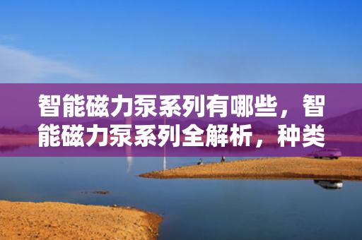 智能磁力泵系列有哪些，智能磁力泵系列全解析，种类、特点及应用领域